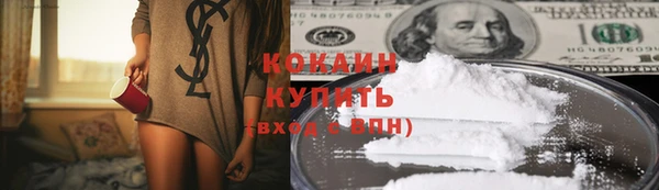 тгк Алексин