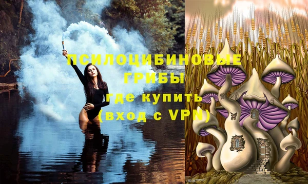 наркотики Алексеевка