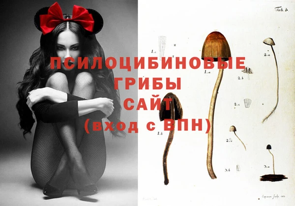 тгк Алексин