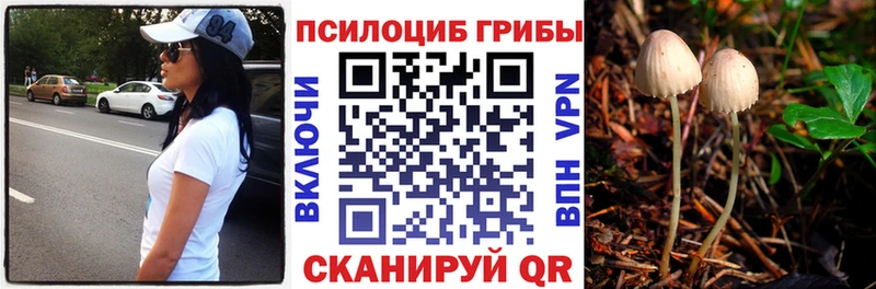 Галлюциногенные грибы MAGIC MUSHROOMS Партизанск